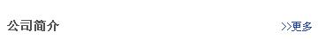 公(gong)司(si)簡介