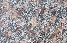 皇室珍(zhen)珠(zhu)