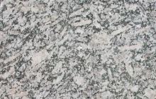 啡瑪棕(zong)鉆(zuan)