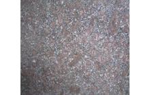 皇室(shi)玫(mei)瑰